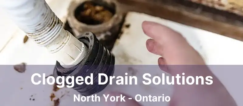  Clogged Drain Solutions North York - Ontario