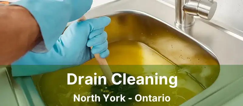  Drain Cleaning North York - Ontario