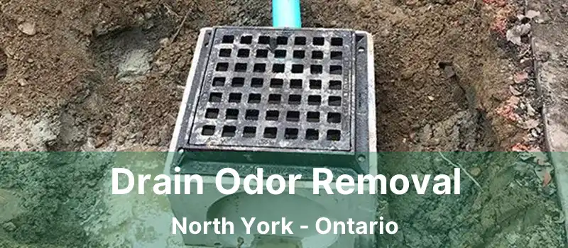  Drain Odor Removal North York - Ontario