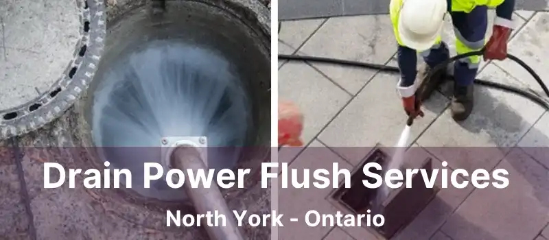  Drain Power Flush Services North York - Ontario