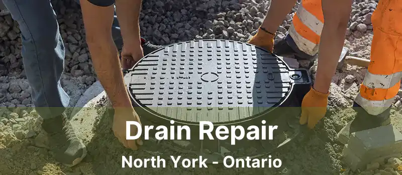  Drain Repair North York - Ontario