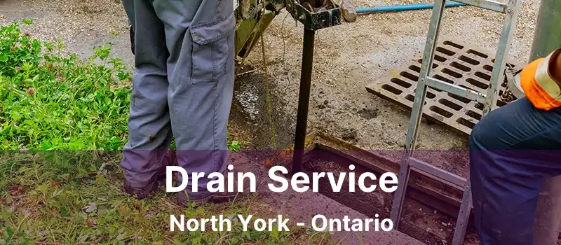  Drain Service North York - Ontario