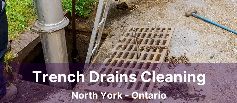  Trench Drains Cleaning North York - Ontario