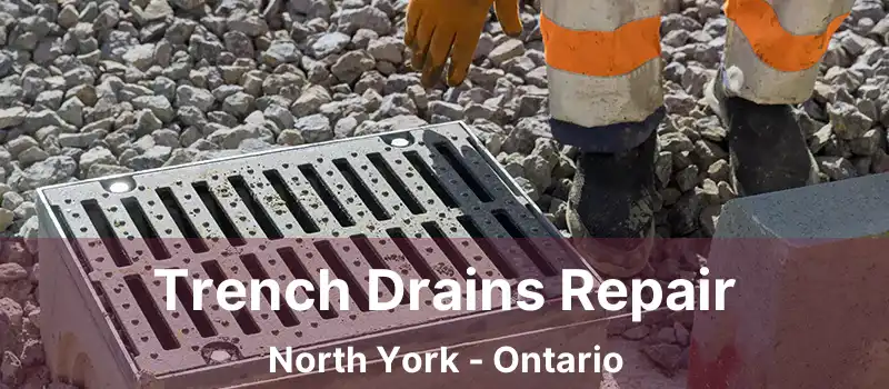  Trench Drains Repair North York - Ontario